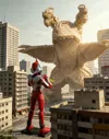 17cm, compatible with SHF
