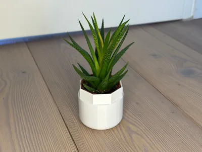 Modern Succulent Pot