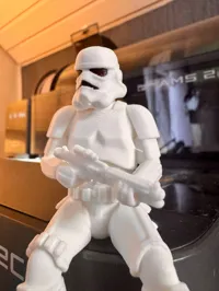 2 Colors Stormtrooper
