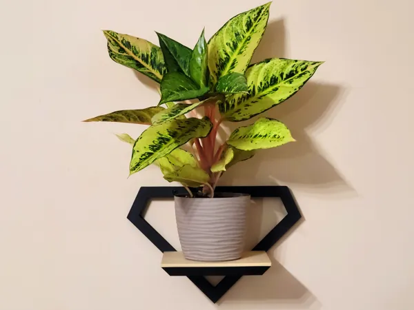 https://makerworld.bblmw.com/makerworld/model/US8f08f2a3aad40f/design/2025-09-19_aefb512a3d9778.jpg