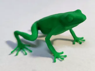 Pfeilgiftfrosch Pumilio