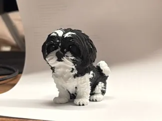 Shih Tzu 