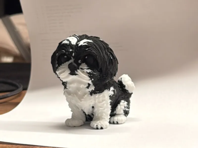 Shih Tzu 