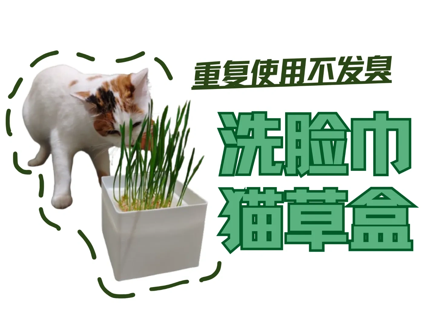 洗脸巾猫草盒