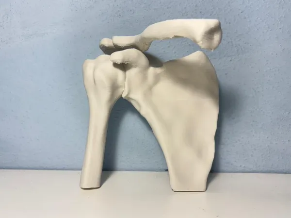 https://makerworld.bblmw.com/makerworld/model/US8f0df344064f5e/design/2025-12-23_d3da0dfd5b7ec8.jpeg