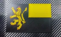 [11] 0.08mm layer, 1 walls, 100% infill