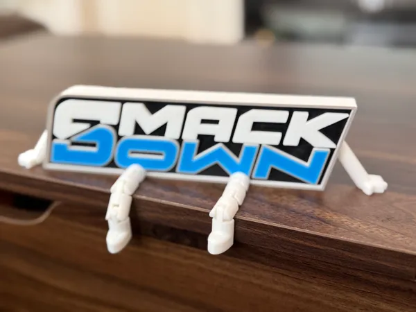 https://makerworld.bblmw.com/makerworld/model/US8f1bee105353f0/design/2025-05-09_01245355945c6.jpeg