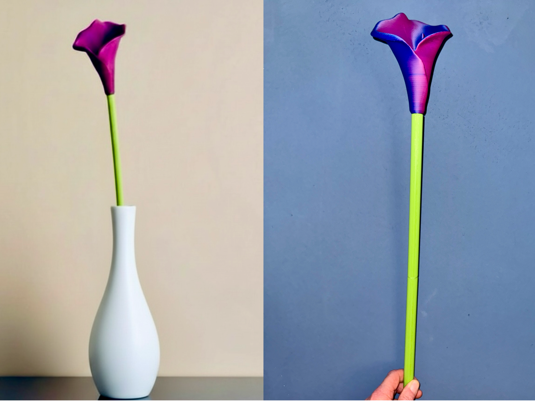 Calla Blume im XL Format - erweiterbar - NO AMS