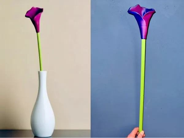 https://makerworld.bblmw.com/makerworld/model/US8f231d503ecb05/design/381b8e2fc622012d.png
