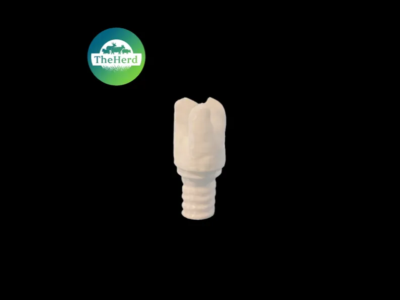Drag Drill Bit 3d Scan