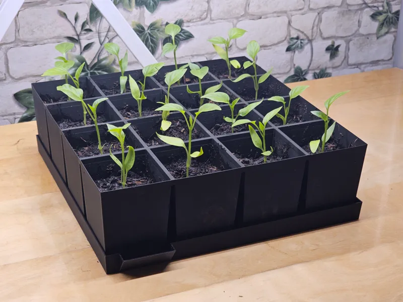 4x4 seedling tray with water reservoir