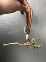 第一版快速绒毛表面0.2mm 层高, 2 层墙, 15% 填充