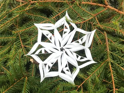 Christmas snowflake/star