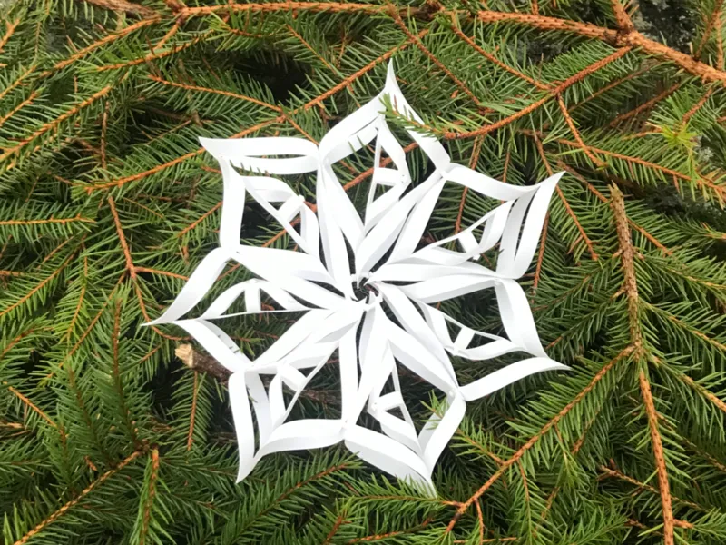 Christmas snowflake/star