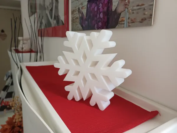 https://makerworld.bblmw.com/makerworld/model/US8f2cedc5eeea22/design/2024-12-03_8c9b2956bce33.jpg