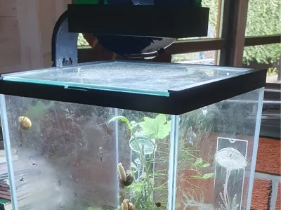 Aquael top frame cover