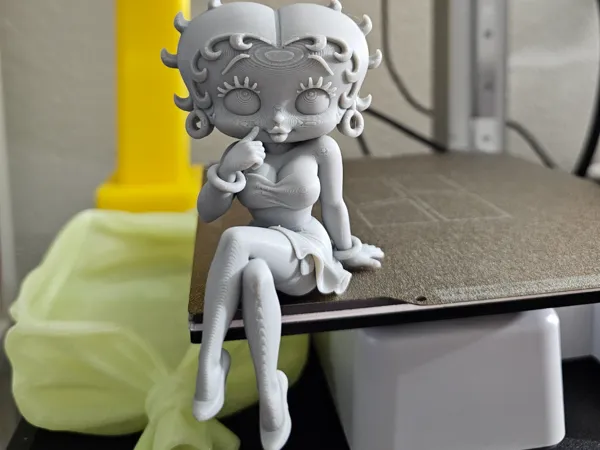https://makerworld.bblmw.com/makerworld/model/US8f315fb56aeadd/design/5cbc16f1b4a684d8.jpg