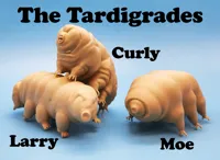 Les tardigrades - lot de 3 figurines — photo 2