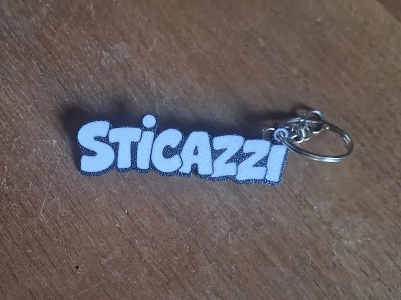 Sticazzi o Stocazzo