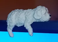 0.08mm layer, 2 walls, 15% infill