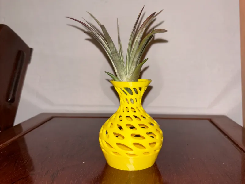 Voronoi Vase - Air Plants and more