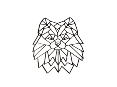 Pomeranian geometric style (Low-Poly)