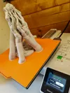 0.12mm layer, 2 walls, 8% infill