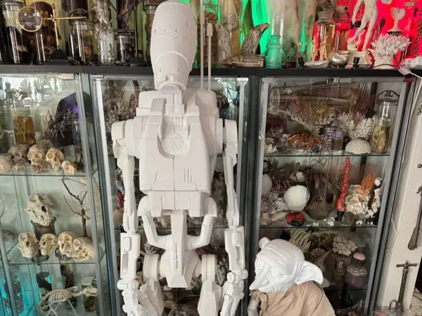 https://makerworld.bblmw.com/makerworld/model/US8f482801844741/design/5a4dbc3b4cf208d2.webp