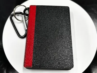 dart case mp