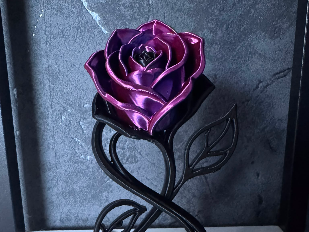 The Infinite Rose - 1