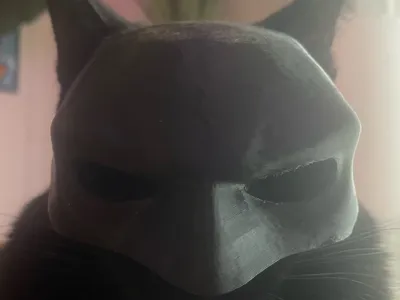 bat cat 90%