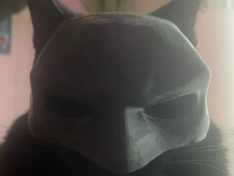 bat cat 90%