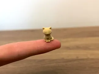 Worlds Smallest Cat