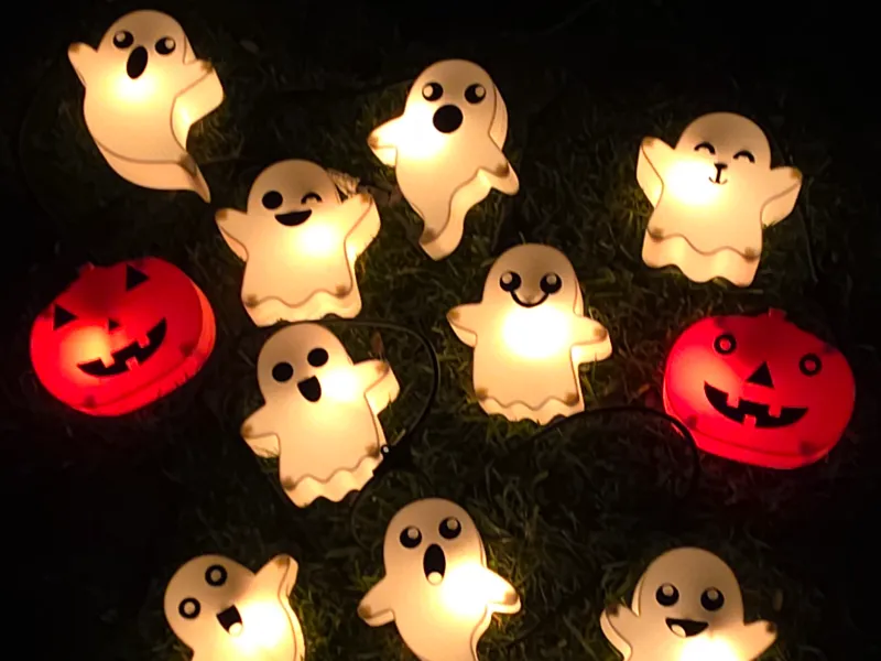 Halloween Porch Light Decoration