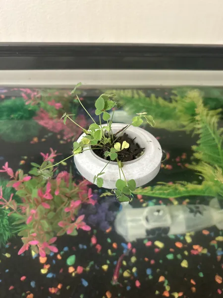 https://makerworld.bblmw.com/makerworld/model/US8f579c054eebd6/design/2024-10-06_pxotyxgbx40x.jpg