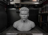 0.18mm layer, 3 walls, 8% infill