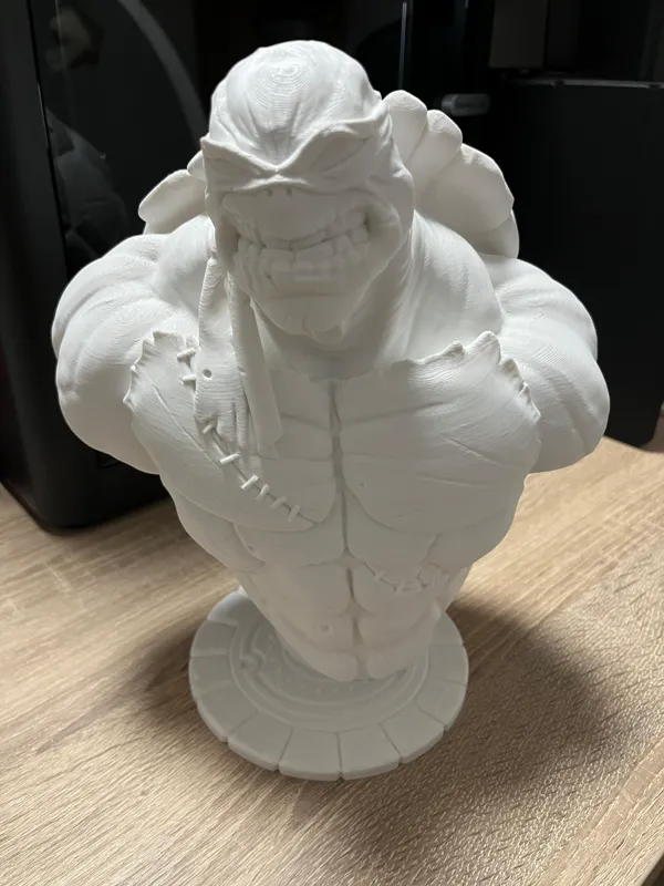 https://makerworld.bblmw.com/makerworld/model/US8f5acf9650bdfd/design/2023-10-03_699126a3ae147.png