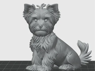 Yorkshire dog