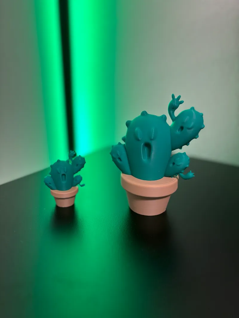 Scared Cactus