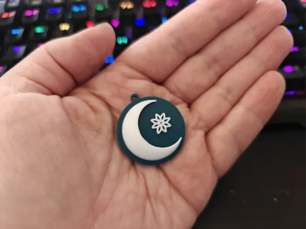 https://makerworld.bblmw.com/makerworld/model/US8f6922748dfddb/design/2025-01-12_9e6386848717c.png