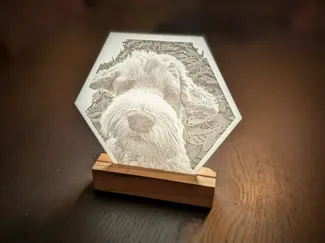 Lithophane Dog Hexagon Labradoodle
