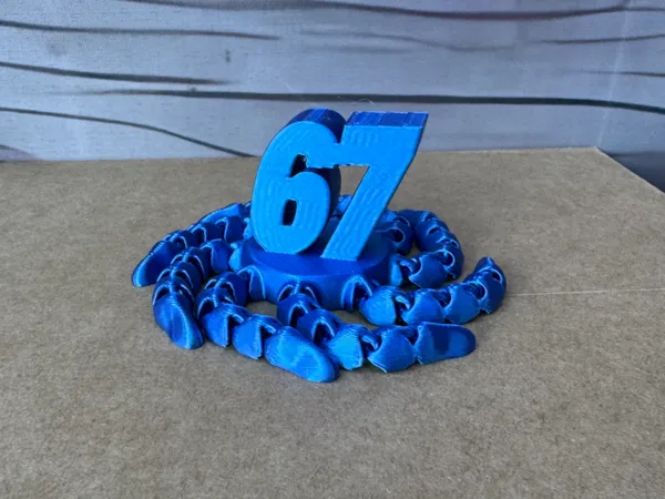 https://makerworld.bblmw.com/makerworld/model/US8f6bd9d5e05363/design/2025-11-30_523f88fd19b87.jpg