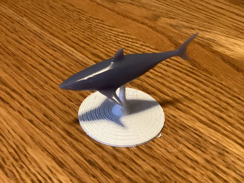 Hunter Shark