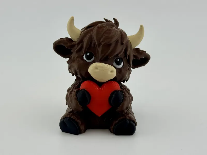 cute highland cow holding a heart
