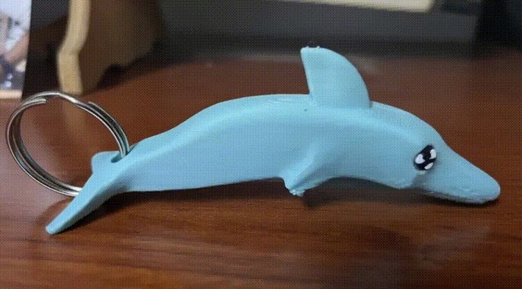 DOLPHIN - KEYCHAIN NEMEO