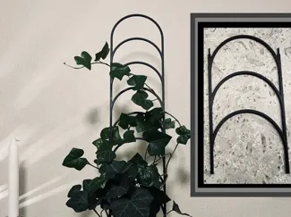 Expandable Plant Support