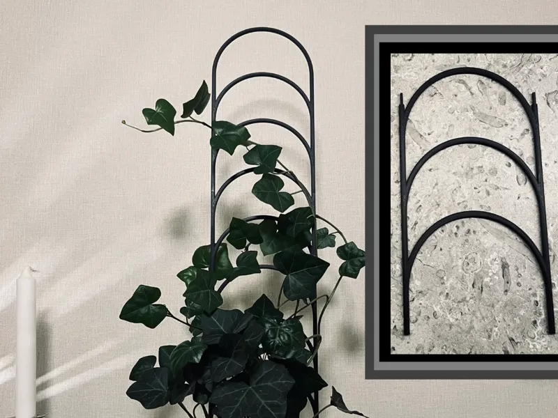 Expandable Plant Support