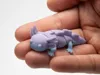 SingleColor Print Profile - axolotl