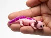 MultiColor Print Profile - axolotl
