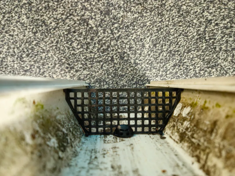 Gutter Moss Blocker
